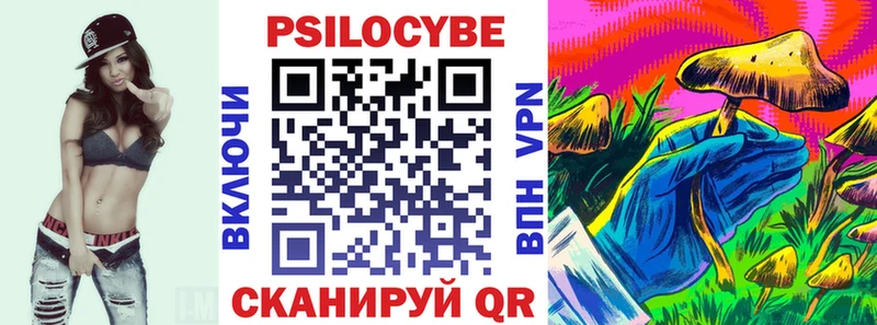 где купить наркотик  Новая Ладога  Галлюциногенные грибы GOLDEN TEACHER 